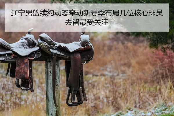 辽宁男篮续约动态牵动新赛季布局几位核心球员去留最受关注