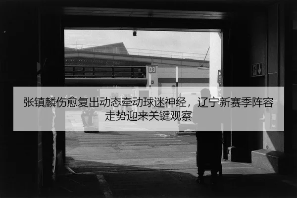 zhang-zhen-lin-shang-yu-fu-chu-dong-tai-qian-dong-qiu-mi-shen-jing-liao-ning-xin-sai-ji-zhen-rong-zou-shi-ying-lai-guan-2-763.jpg