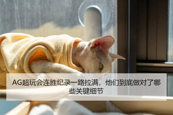 AG超玩会连胜纪录一路拉满，他们到底做对了哪些关键细节